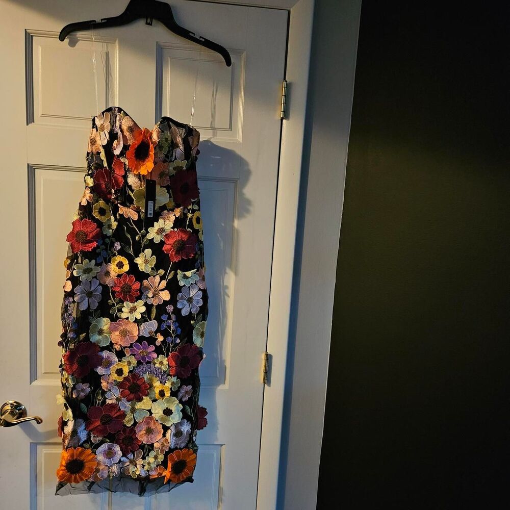 Fashion-nova Women's Multi Dress